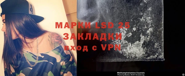 ПСИЛОЦИБИНОВЫЕ ГРИБЫ Печоры