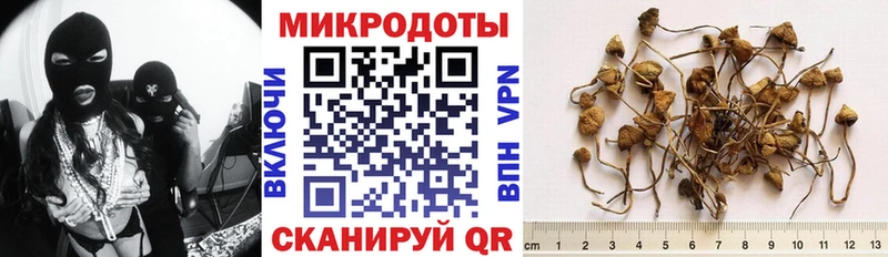 ссылка на мегу tor  Шарья  Галлюциногенные грибы GOLDEN TEACHER 